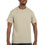 Hanes Mens 6 oz Authentic-T T-Shirt 5