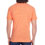 Threadfast Apparel Unisex Triblend T-Shirt 5
